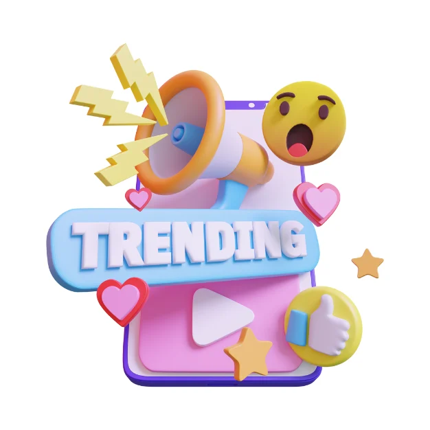 Professional Youtube Optimization